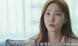 韩剧完美搭档在线观看